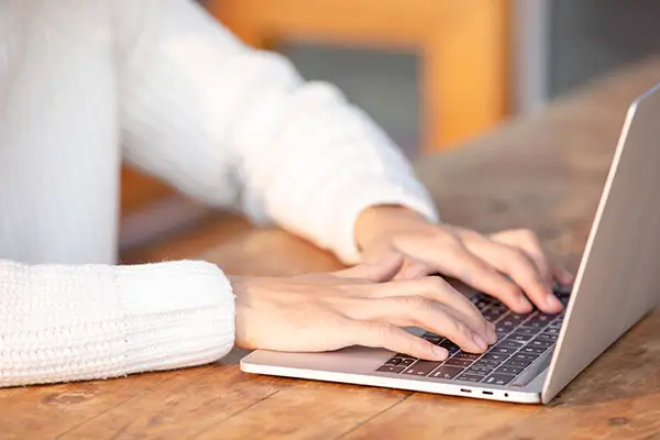 荒野歌曲含义是什么