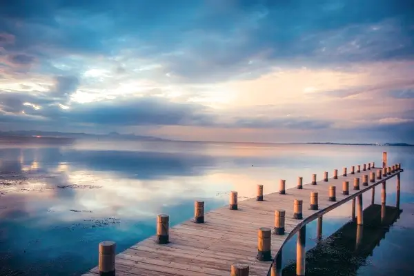 光盘行动的故事和含义