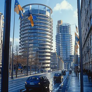 可能名字的含义是什么