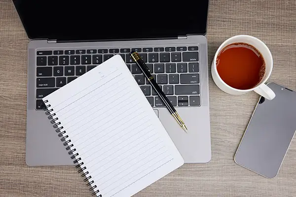 夜晚路遇兔子什么含义