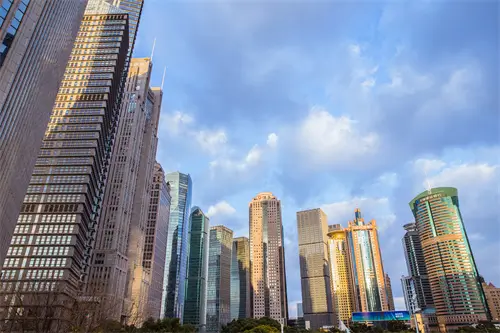 小雏菊含义象征什么